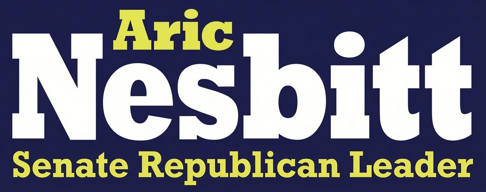 Aric Nesbitt for State Senate